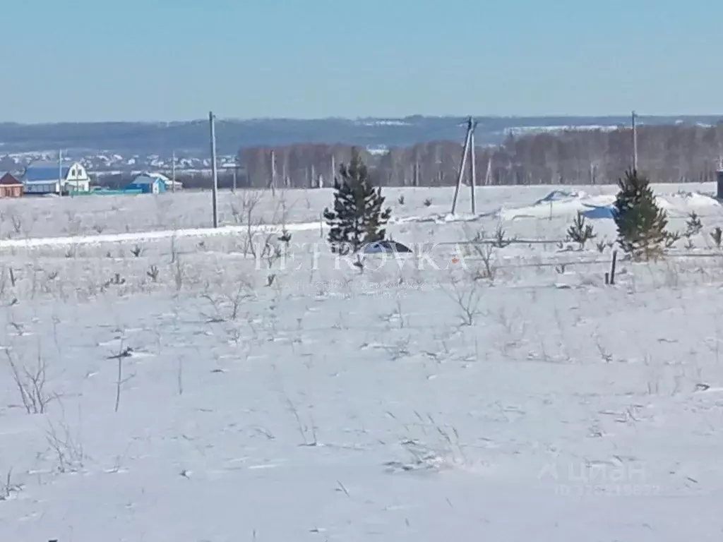 Участок в Московская область, Химки Московская ул. (6.18 сот.) - Фото 2