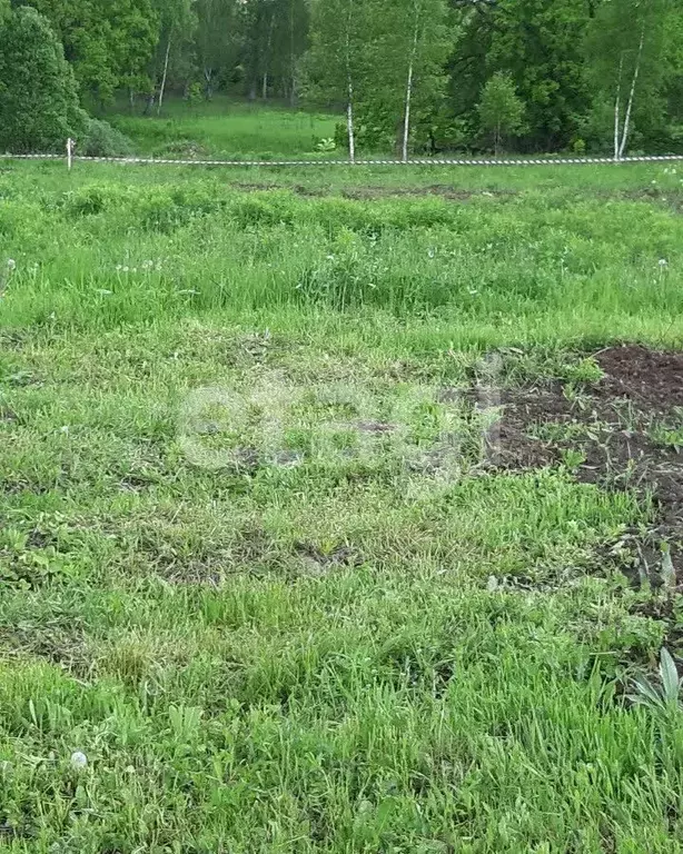 Участок в Тульская область, Тула городской округ, д. Коптево 7 (15.0 ... - Фото 1