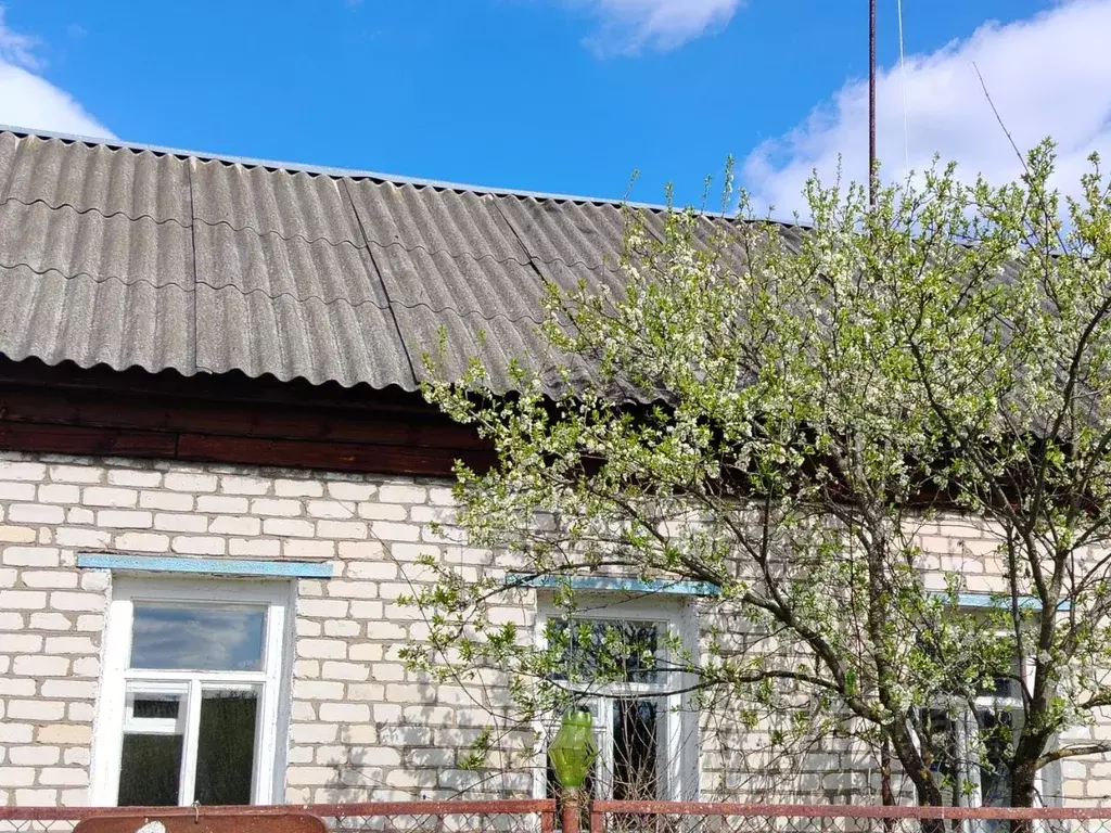 Дом в Рязанская область, Сасовский муниципальный округ, пос. Батьки ... - Фото 0
