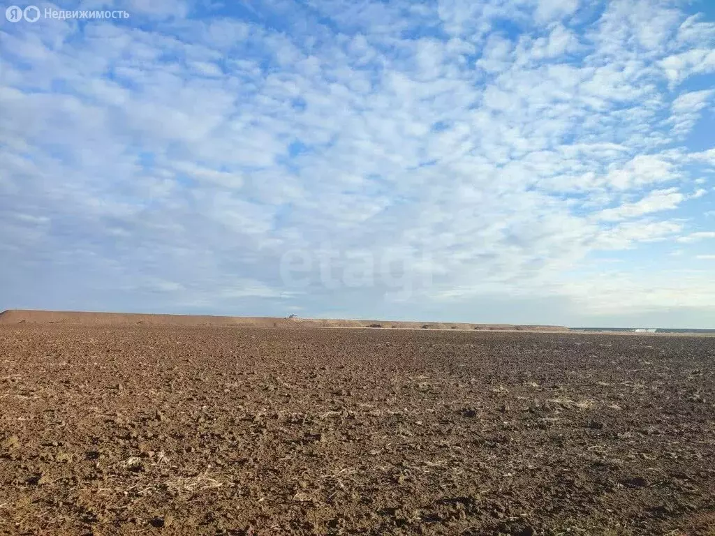 Участок в Сакский район, Штормовское сельское поселение, садоводческое ... - Фото 1