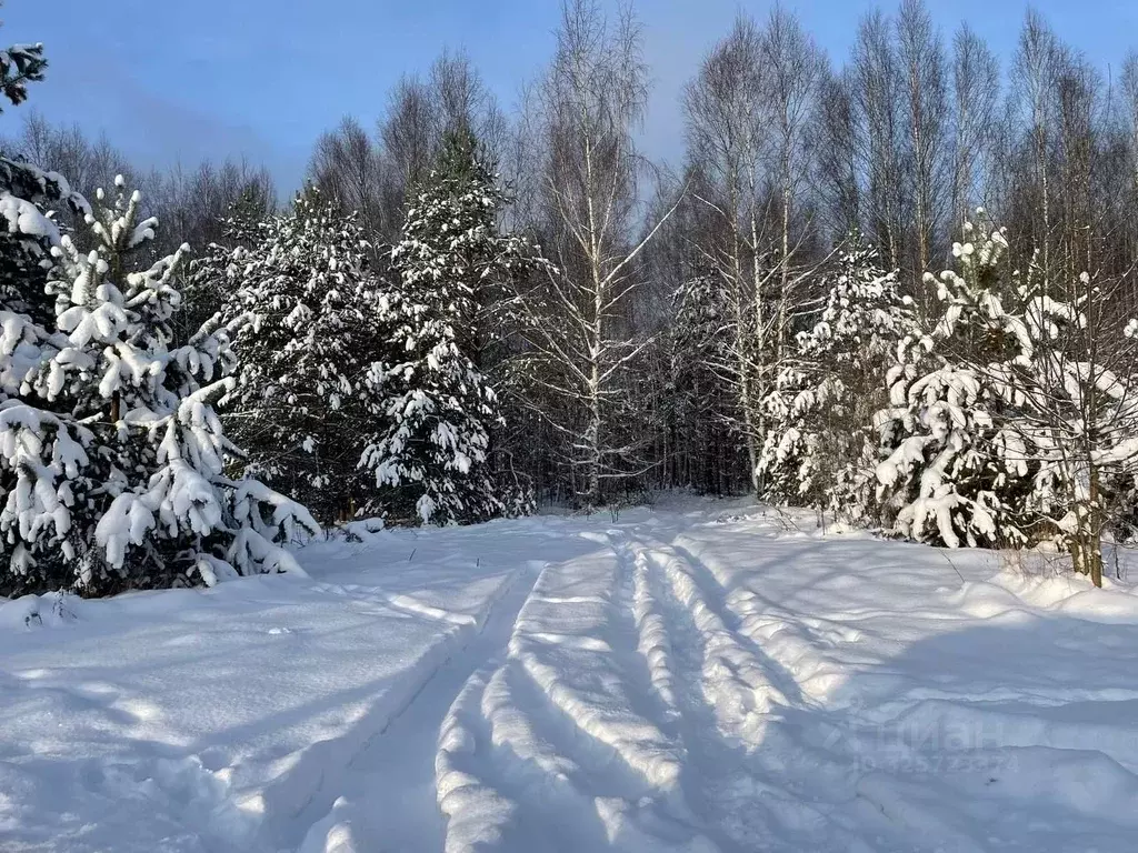 Участок в Тверская область, Кимрский муниципальный округ, д. Крева  ... - Фото 1