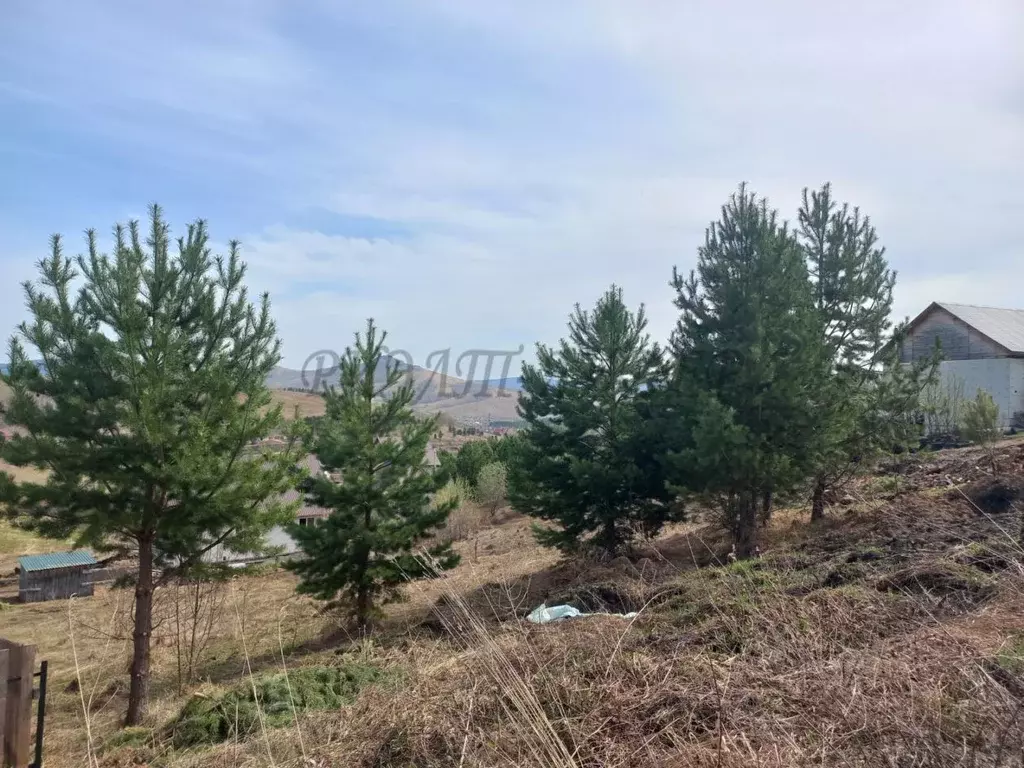 Участок в Алтай, Горно-Алтайск ул. В.Д. Никулина, 7 (8.2 сот.) - Фото 1