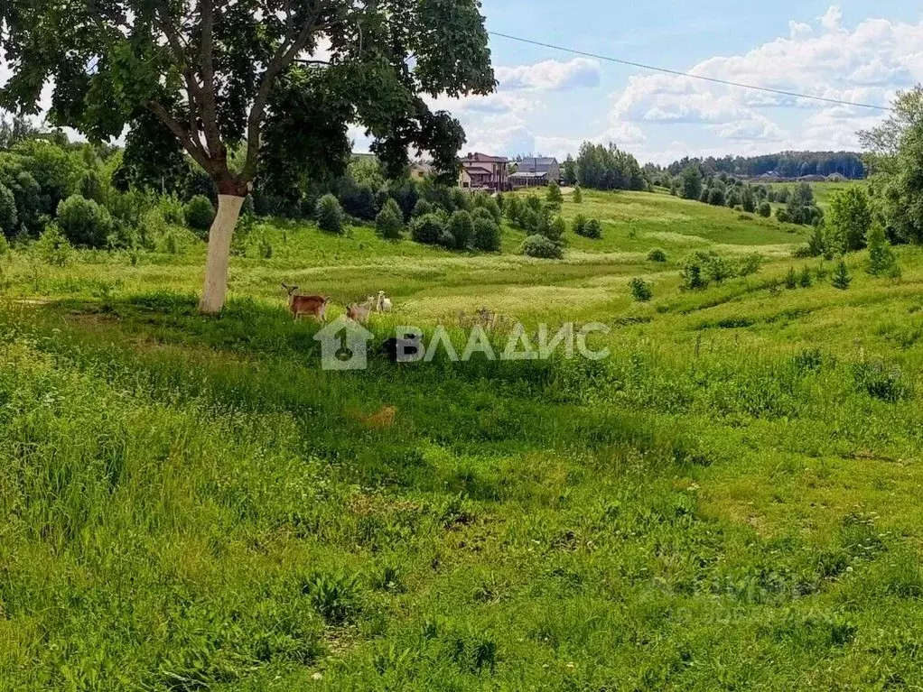 Дом в Владимирская область, Суздальский район, Боголюбовское ... - Фото 1