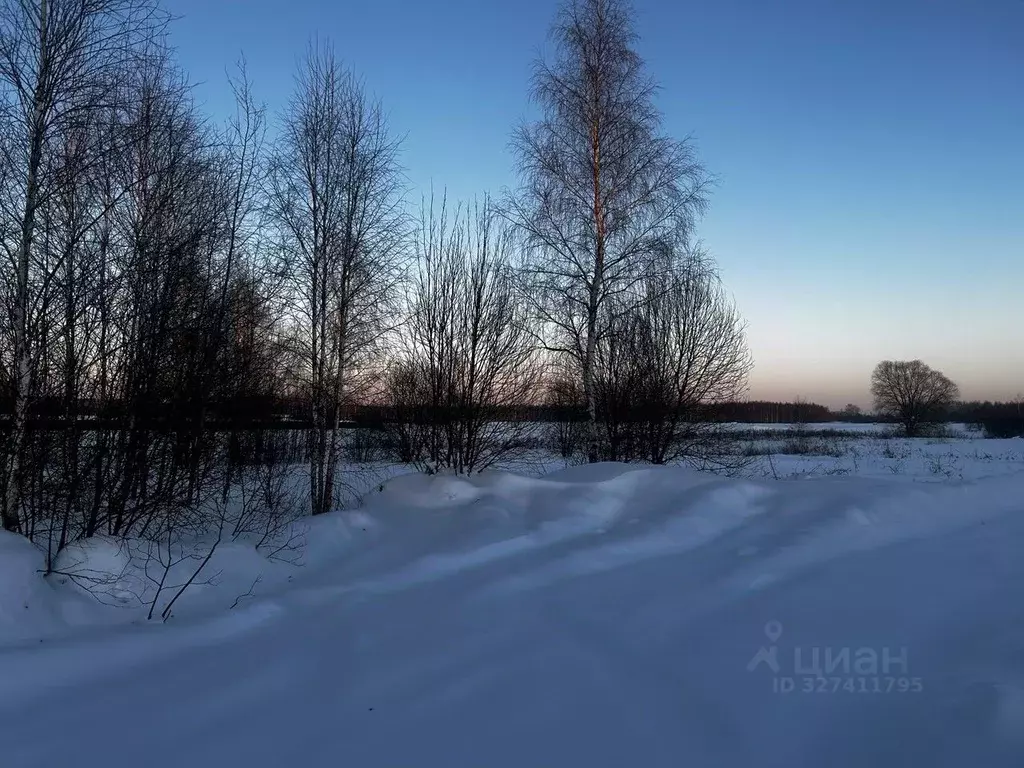 Участок в Московская область, Ступино городской округ, д. Большое ... - Фото 1