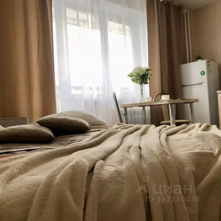 Студия Челябинская область, Челябинск ул. Наркома Малышева, 8 (26.0 м) - Фото 1