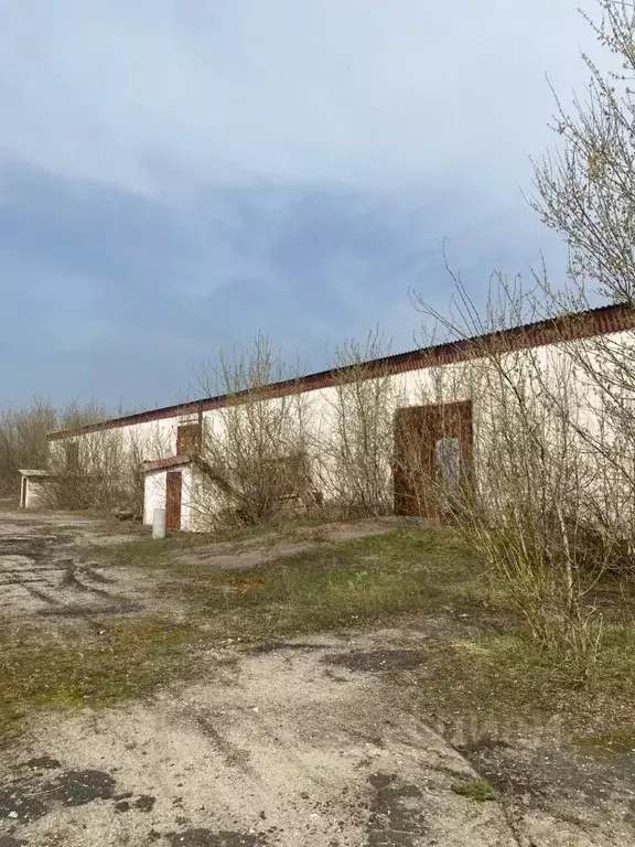 Склад в Тамбовская область, Жердевка пос. Савальский 1-й,  (4000 м) - Фото 1