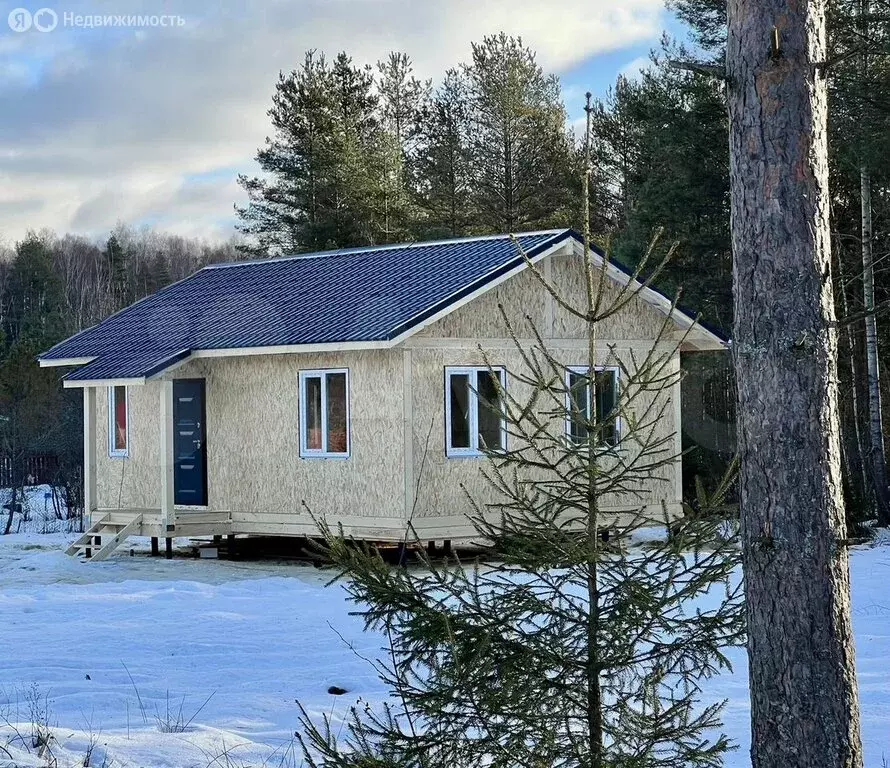 Дом в Ярославский муниципальный округ, СТ Молния, 116 (51 м) - Фото 1