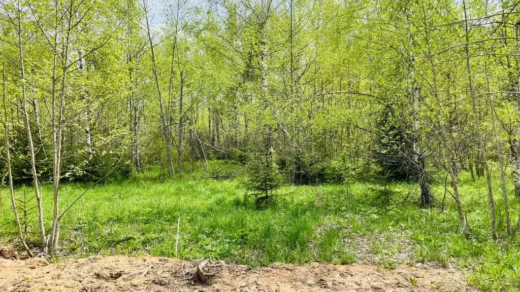 Участок в Московская область, Дмитровский муниципальный округ, ... - Фото 2