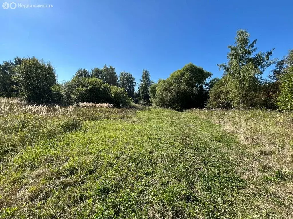 Участок в Суздальский район, село Новоалександрово (8 м) - Фото 0