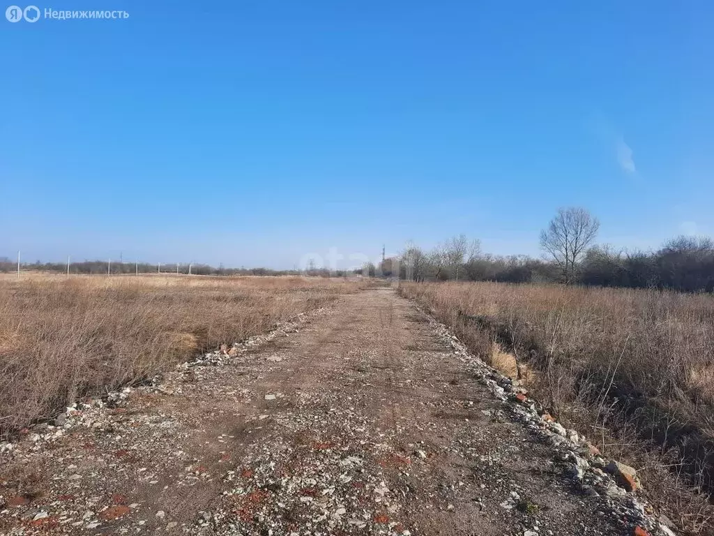 Участок в Калининградская область, Гурьевский муниципальный округ, ... - Фото 1