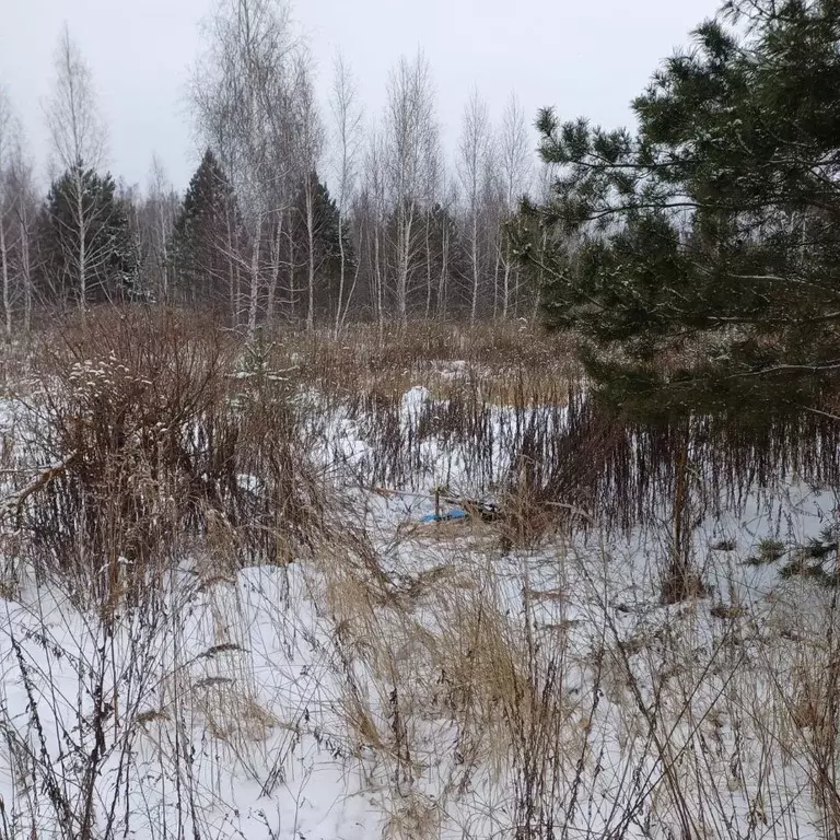 Участок в Липецкая область, Липецк Желтые Пески мкр,  (10.0 сот.) - Фото 0