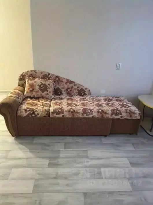 Студия Амурская область, Благовещенский район, с. Чигири Центральная ... - Фото 1