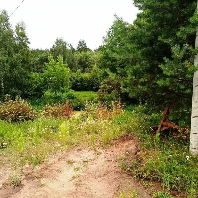 Участок в Тверская область, Калининский муниципальный округ, деревня ... - Фото 2