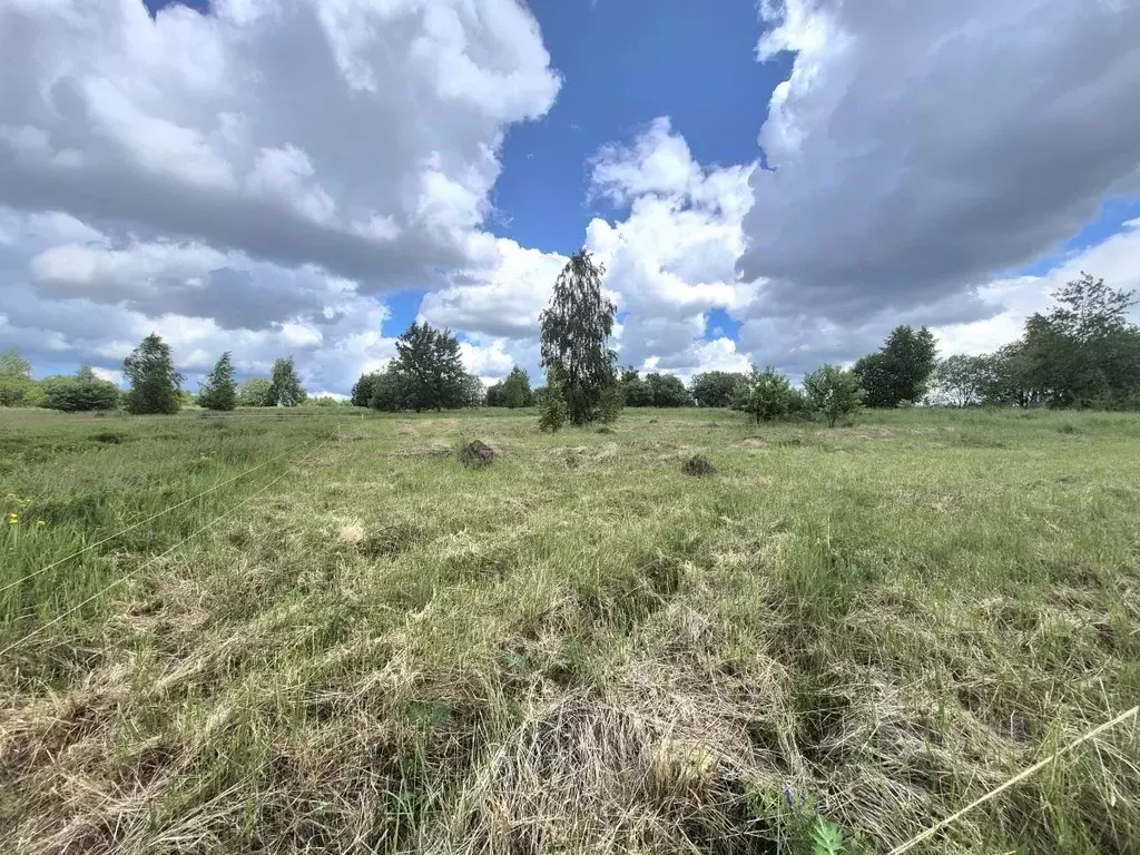 Участок в Курская область, Курск М-2 Крым, 525-й км (10.0 сот.) - Фото 1