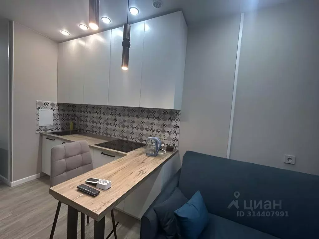 Студия Краснодарский край, Новороссийск Цемдолина тер., ул. Красина, ... - Фото 0