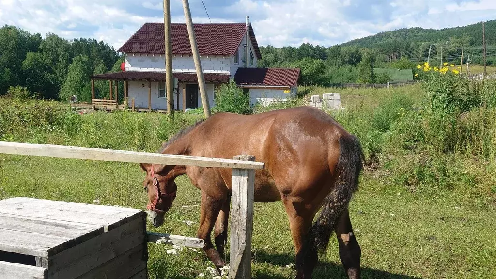 Участок в Красноярский край, Красноярск Дачный мкр, ул. Лесная (20.0 ... - Фото 0