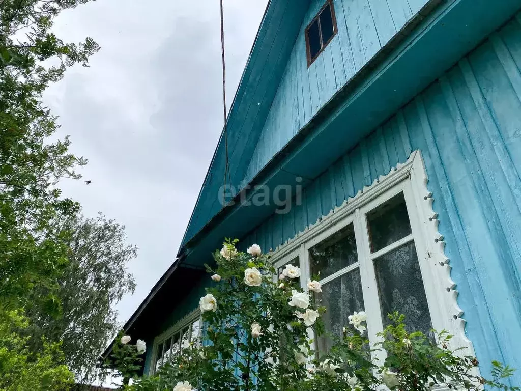 Участок в Карелия, Сегежский муниципальный округ, Малина СОНТ  (6.0 ... - Фото 1