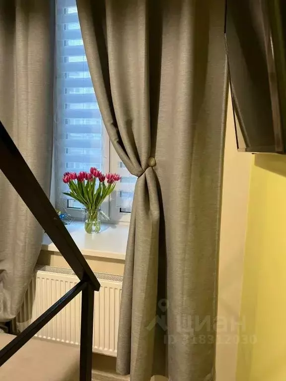 Студия Санкт-Петербург Вознесенский просп., 43 (23.0 м) - Фото 1
