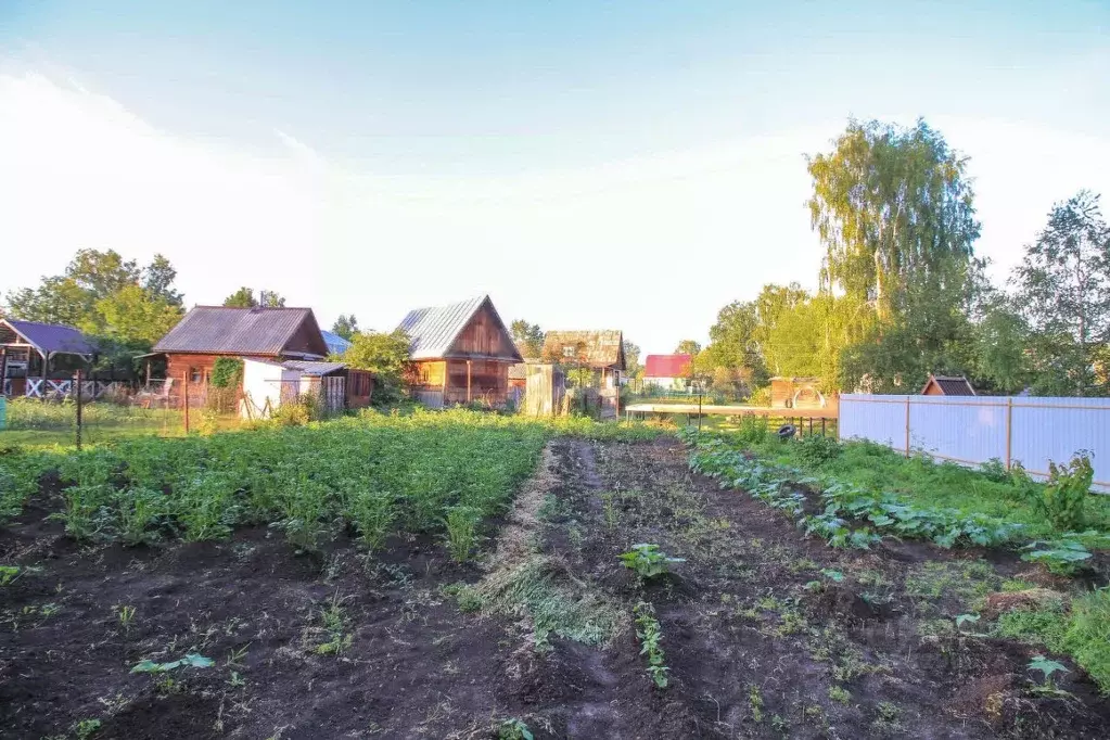 Участок в Алтайский край, Первомайский район, пос. Покровка, Строитель ... - Фото 2