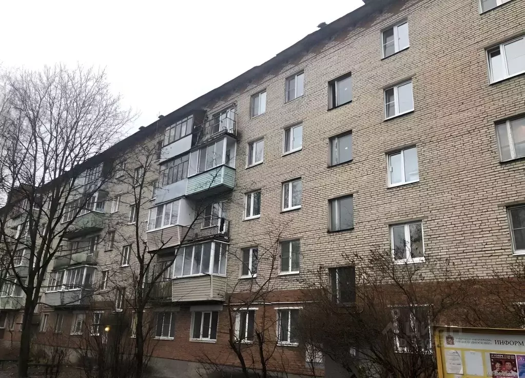 2-к кв. Московская область, Красноармейск Пушкинский городской округ, ... - Фото 1