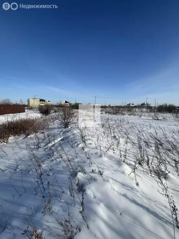 Участок в Амурская область, Благовещенский муниципальный округ, село ... - Фото 2