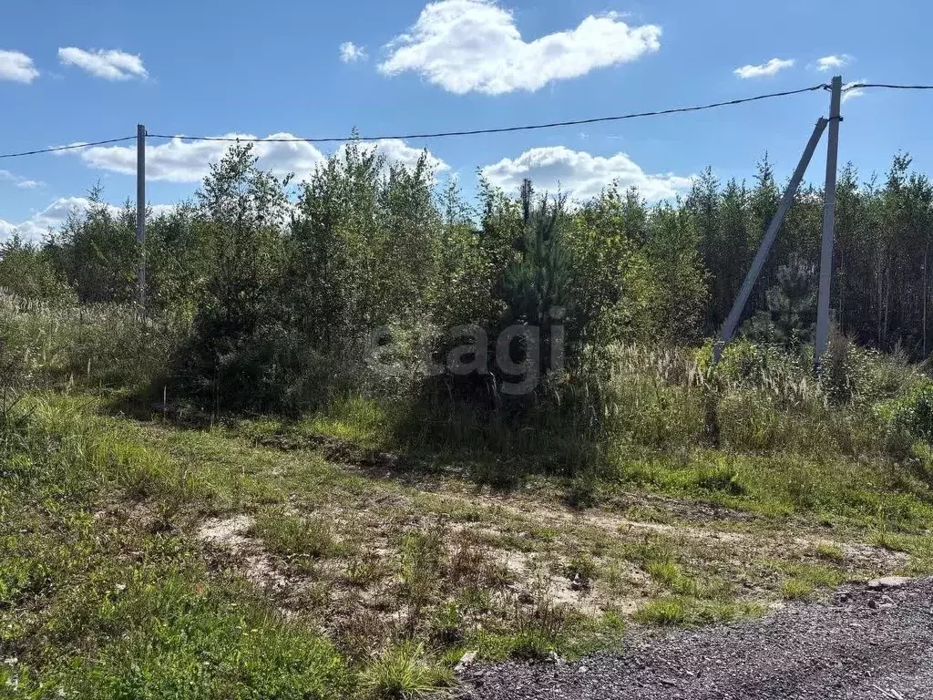 Участок в Московская область, Солнечногорск городской округ, д. ... - Фото 0