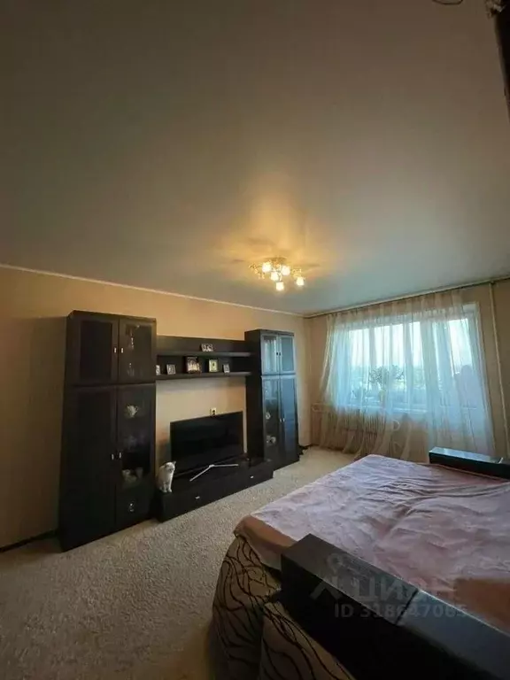 1-к кв. Тамбовская область, Тамбов ул. Рылеева, 79А (37.3 м) - Фото 2