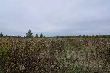 Участок в Московская область, Одинцовский городской округ, Бузаево кп  ... - Фото 0