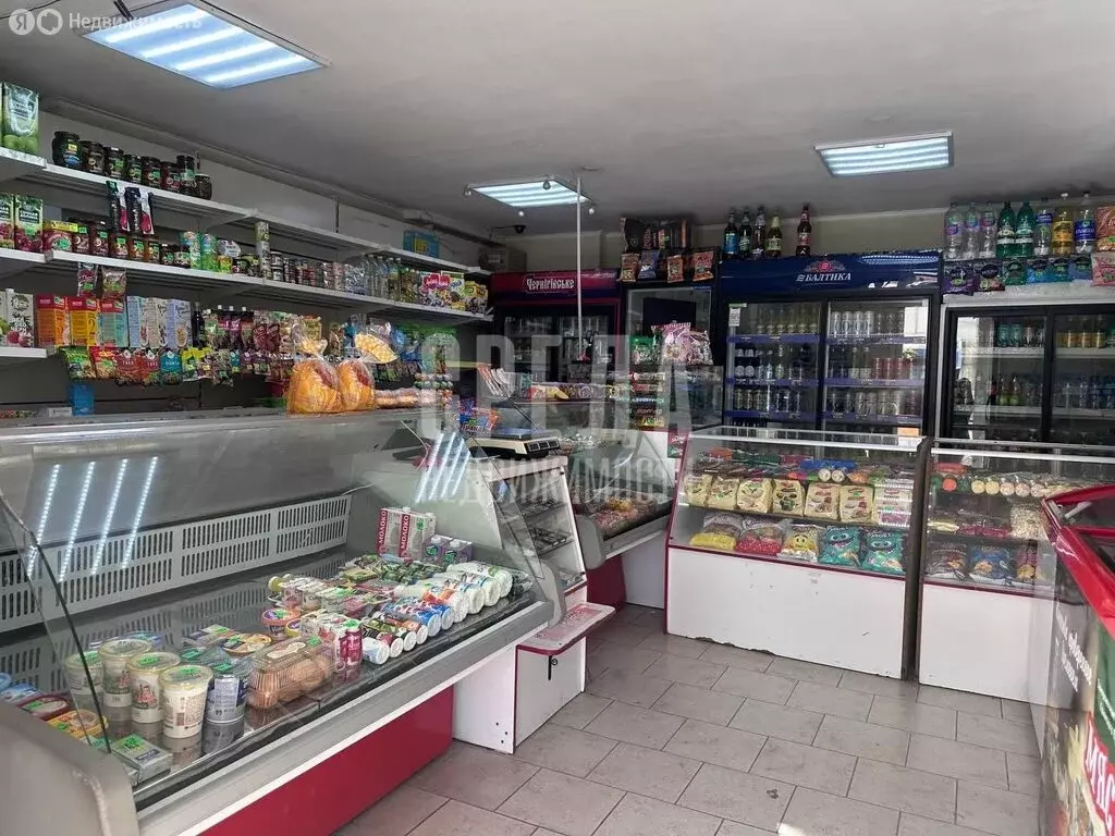 Торговая площадь (31.3 м) - Фото 2