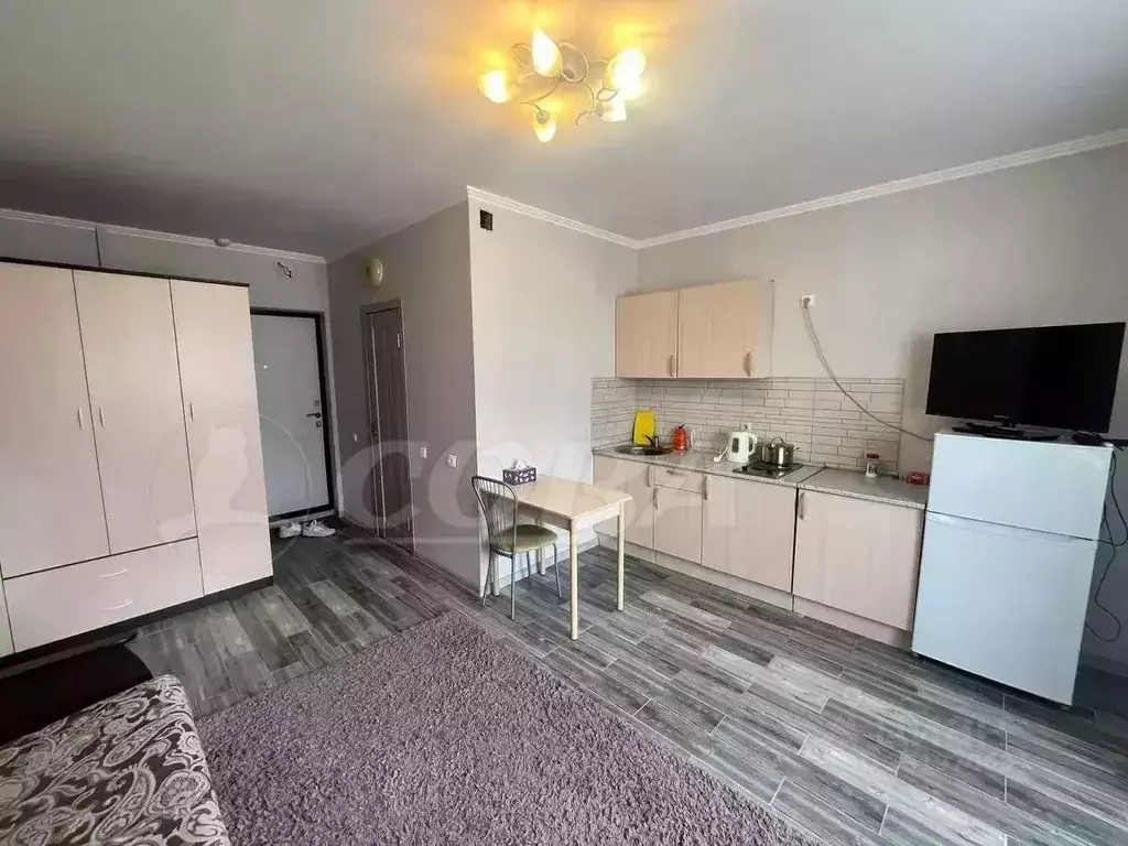 Студия Тюменская область, Тюмень ул. Новоселов, 107к1 (23.6 м) - Фото 1