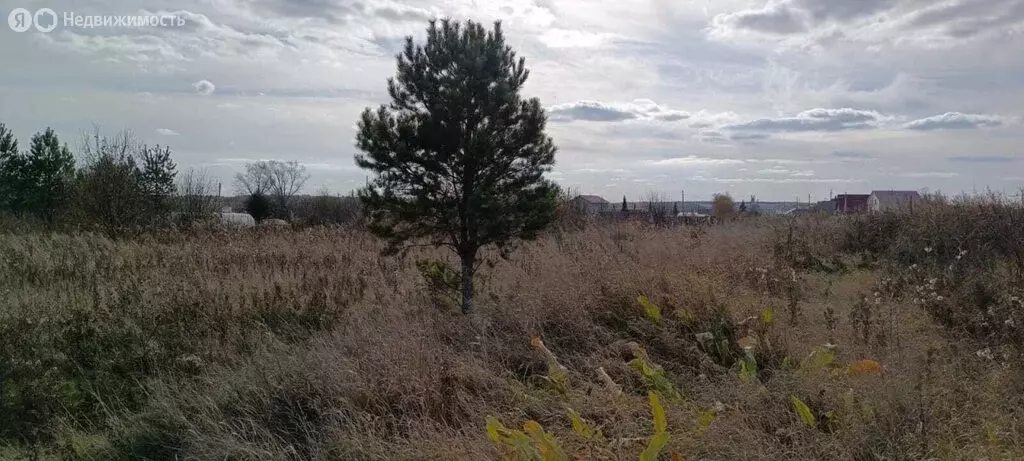 Участок в Свердловская область, Белоярский муниципальный округ, ... - Фото 1