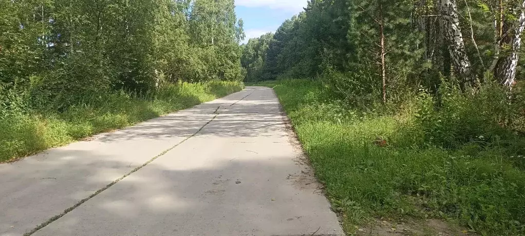 Участок в Новосибирская область, Мошковский район, Барлакский ... - Фото 2