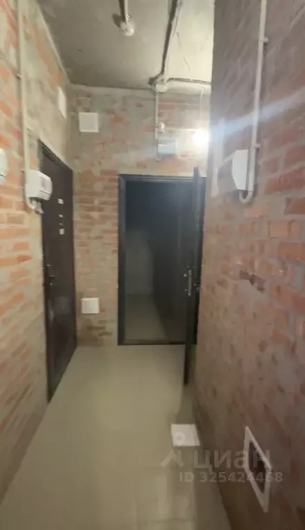 Помещение свободного назначения в Краснодарский край, Краснодар ул. ... - Фото 1