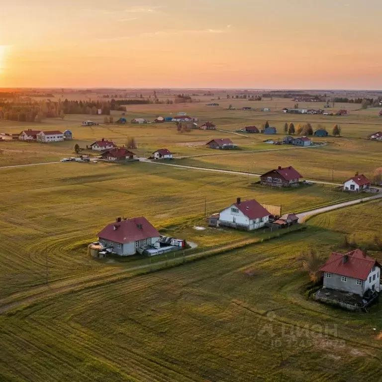Участок в Калининградская область, Черняховский муниципальный округ, ... - Фото 1