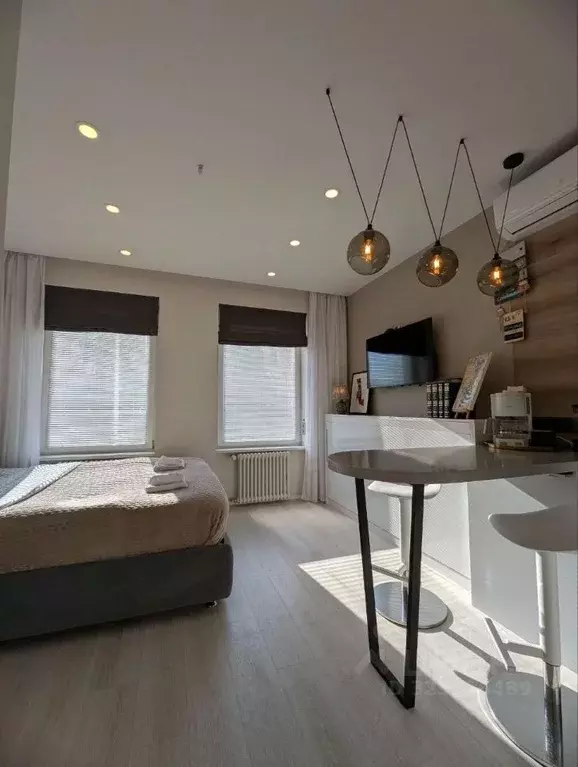 Студия Москва Ботаническая ул., 33Вс1 (22.0 м) - Фото 1