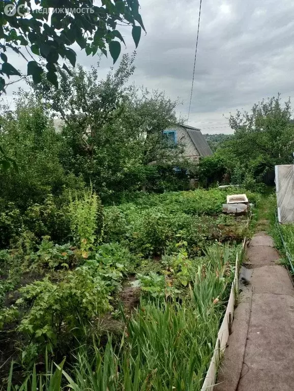 Дом в Белгородская область, Яковлевский муниципальный округ (35 м) - Фото 0