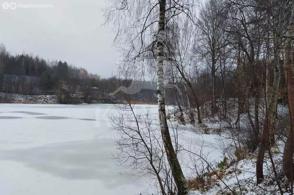 Участок в деревня Подушкино, территория Подушкино-Таун (33.92 м) - Фото 2