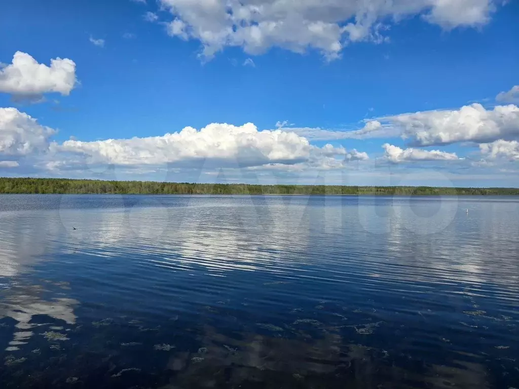 Участок 24,8 сот. (СНТ, ДНП) - Фото 0