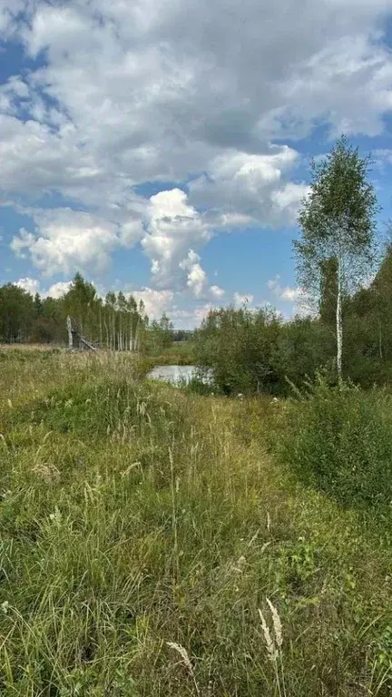 Участок в Татарстан, Высокогорский район, с. Семиозерка Луговая ул. ... - Фото 0