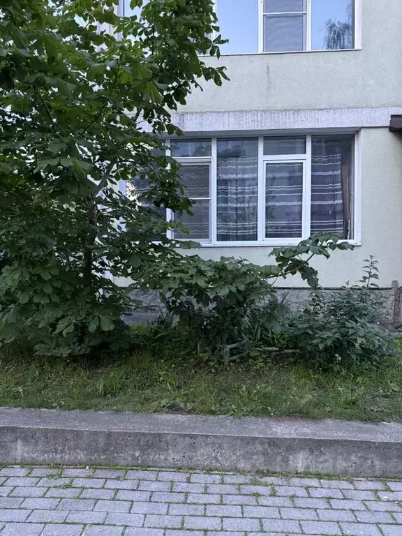Студия Московская область, Мытищи городской округ, д. Пирогово ул. ... - Фото 1
