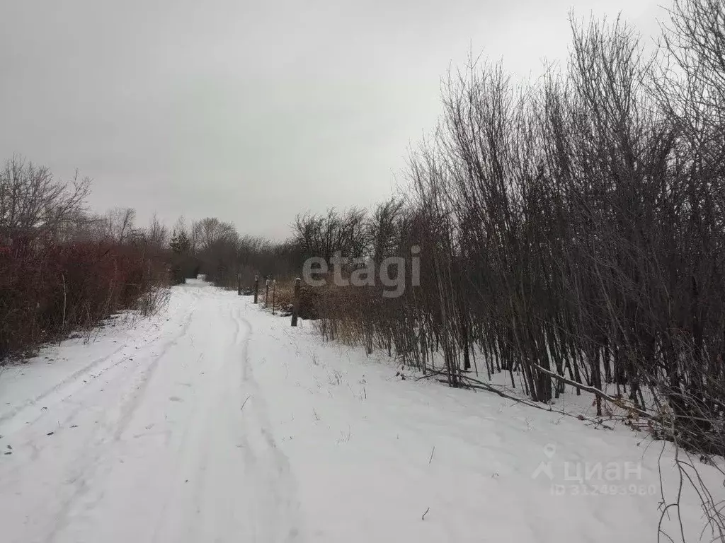 Участок в Ульяновская область, Ульяновск Южный СНТ,  (3.9 сот.) - Фото 0