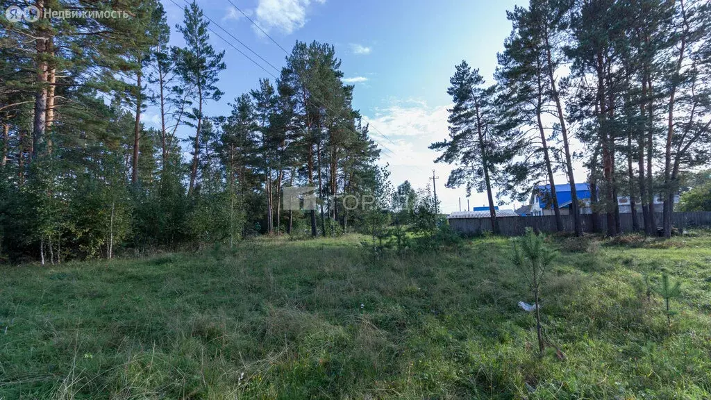 Участок в Томский район, село Половинка (Базанаково), Центральная ... - Фото 2