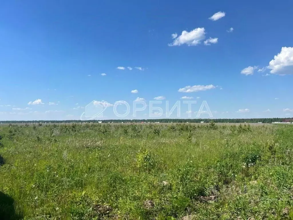 Участок в Свердловская область, Тугулым пгт ул. Лесная, 30 (14.83 ... - Фото 1