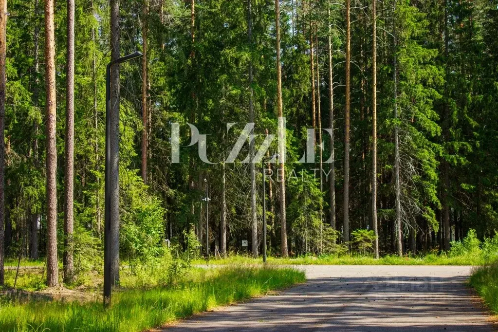 Участок в Ленинградская область, Выборгский район, Рощино пгт, КП ... - Фото 1