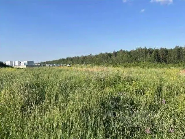 Участок в Оренбургская область, Оренбург городской округ, пос. ... - Фото 1