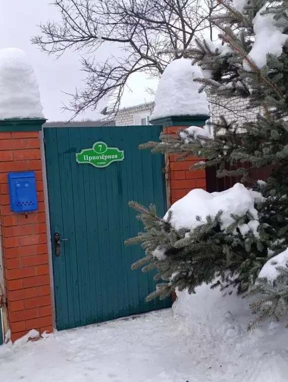 Дом в Пензенская область, Пензенский район, Мичуринский сельсовет, ... - Фото 1