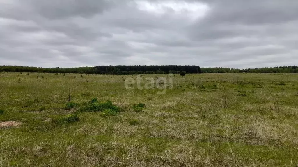 Участок в Владимирская область, Ковровский район, Новосельское с/пос, ... - Фото 1