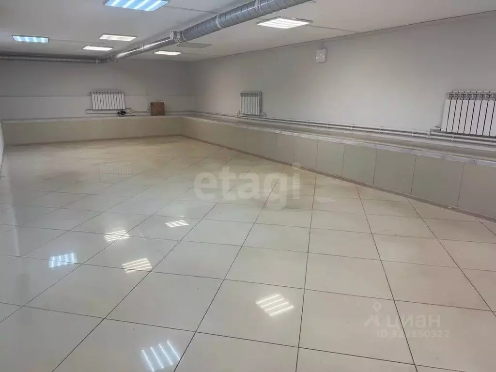 Торговая площадь в Брянская область, Брянск Московский просп., 35А ... - Фото 1