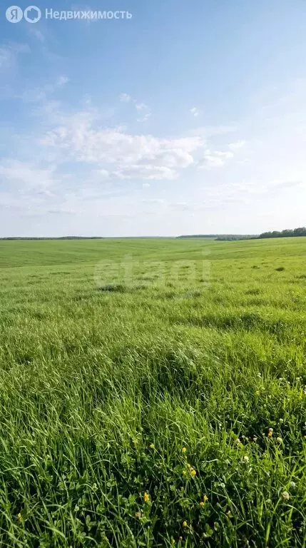 Участок в Усть-Коксинский район, село Чендек (337.85 м) - Фото 1