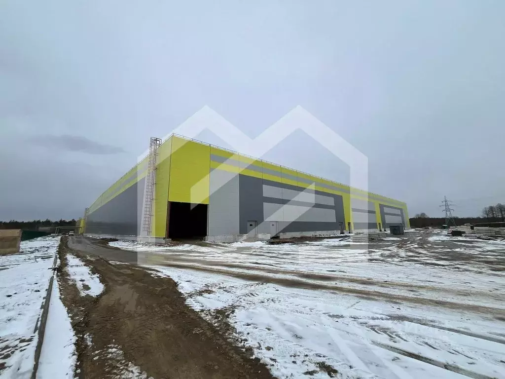 Помещение свободного назначения в Московская область, Ногинск ... - Фото 1